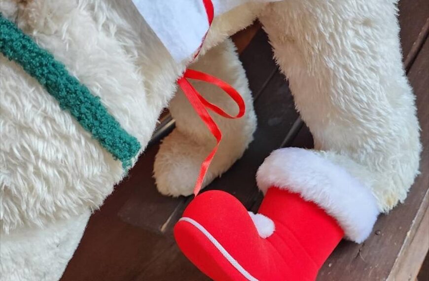 今週末、ニーナは両店舗オープン