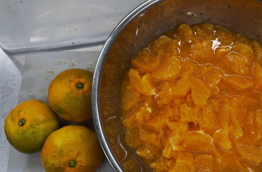 本日で板倉のninaは今期最終日です‼︎