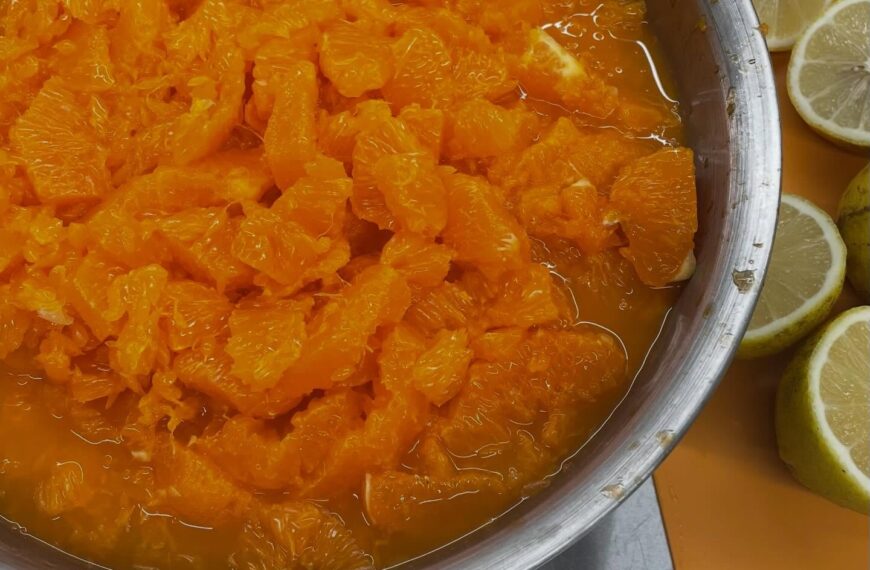 熊本より「津之望つののぞみ」