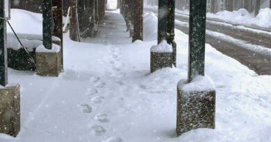 朝除雪したはずがまた除雪