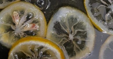 熊本の水俣からいつものレモン