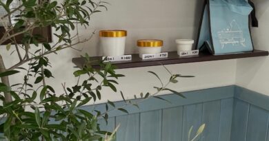 元気のなかったオリーブさんに新しい芽が・・